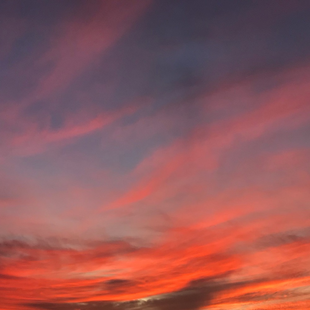 Meet your Posher, Katy